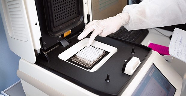 DNA 放入 PCR 热循环仪或扩增仪中进行 PCR 诊断。