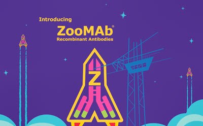 革命性ZooMAb®重组抗体