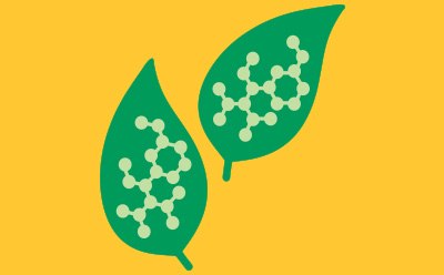 Two green leaves with molecular structures on them.