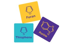 Furan, Thiopene and Purine schematics building blocks