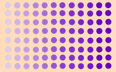 有活力细胞在 96 孔板中将 MTT 代谢为甲臢盐的情况