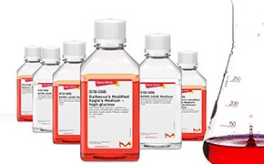 一系列五个装有红色液体的实验室瓶子排成一行，右侧是一个部分装有相同红色液体的量筒，背景为白色。