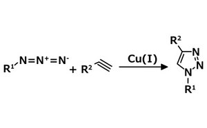 点击化学反应方案 这个点击化学方案示例展示了铜(I)催化的叠氮-炔环加成 (CuAAC),炔与叠氮化物生成 1,4-二取代-1,2,3-三唑。