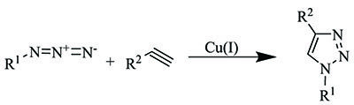该点击化学方案显示了将炔烃与叠氮化物通过铜（I）催化叠氮化物-炔烃环加成（CuAAC），形成1,4-二取代-1,2,3-三唑的过程