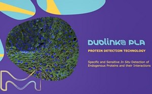 Duolink<sup>®</sup> Proximity Ligation Assay