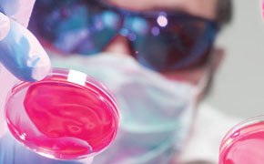 Lab worker studying a sample.