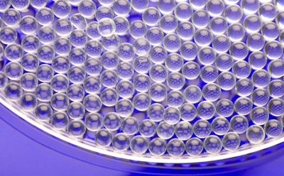 一个圆形培养皿的特写，里面装满了无数透明的球形凝胶珠或液滴，它们紧密地排列在光滑的表面上。整体构图强调了珠子排列的均匀性和精确性。