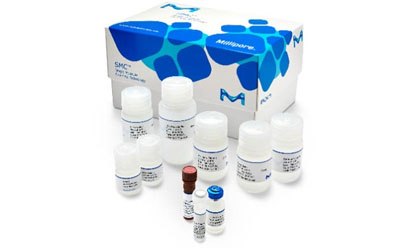 SMC (Single Molecule Counting) Assay Kit