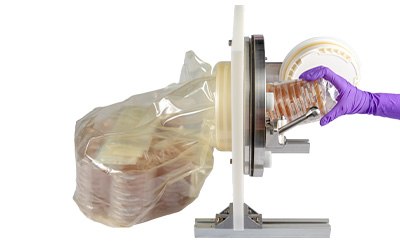 IsoBag<sup>®</sup> rapid transfer solution IsoBag® 解决方案是一种无菌聚氨酯 DPTE Beta 袋,设计用于将材料安全、方便地转移到隔离器或 RABS 中。