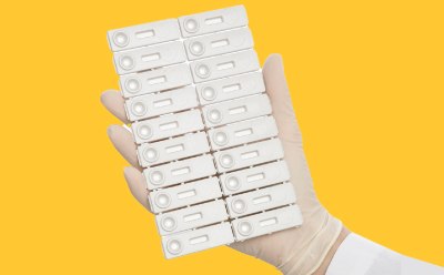 用于检测沙门氏菌的侧流试验