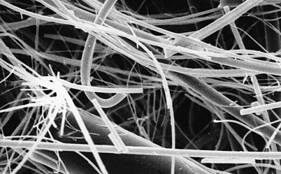 Glass fiber filter membrane 玻璃纤维滤膜的扫描电子显微镜图像