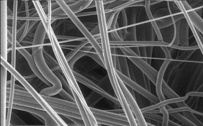 Polypropylene membrane filter 聚丙烯膜的扫描电子显微镜图像
