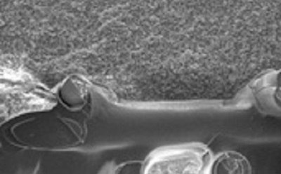 Strat-M® synthetic membrane filter Strat-M®合成膜滤器的扫描电子显微镜图像