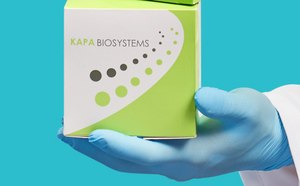 实验室场景，戴手套的手拿着一盒Kapa Biosystems PCR试剂盒。