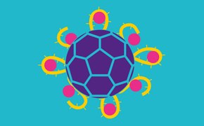 The image shows a circle with a dark purple core, surrounded by yellow spike proteins resembling a sun or sea urchin. Small yellow arcs near the base of each spike add detail. The background is solid teal