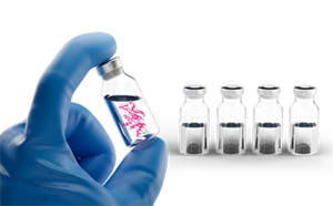 使用蛋白稳定剂的胃肠外制剂