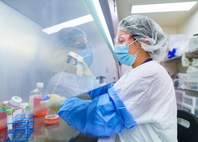 operator in lab coat, mask and hood working in biosafety cabinet transferring cell culture media into a flask with pipette