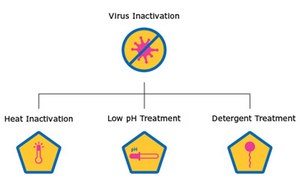 病毒灭活图示：A：热灭活；B：低pH值处理；C：去污剂处理