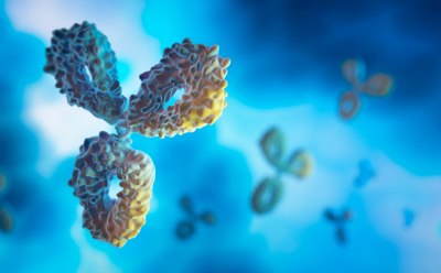 Three pronged antibody is in the left forefront of the image, with smaller antibodies out of focus in the background.