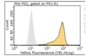 Flow cytometry graph - the control graph peaks at 10<sup>1</sup> of yellow fluorescence, while the other graph peaks at 10<sup>3.</sup>