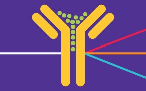 Flow Cytometry Antibodies 是一种抗体与抗原相互作用的图形,紫色背景上有一个黄色的 Y 型结构,顶端有绿色的点,彩色线条表示不同的途径或相互作用。