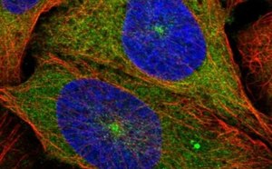 绿色背景下随机分布的HPLC色谱柱。