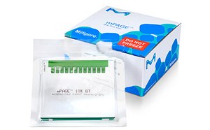 mPage® Bis Tris凝胶试剂盒 蛋白质电泳凝胶和缓冲液