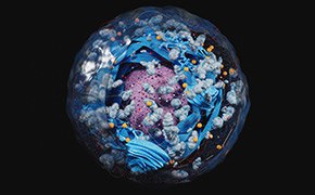 亚细胞分馏技术