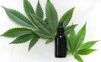 本图片所示为白色背景下亮绿色大麻叶子中间的黑色点滴瓶，强调了其在大麻油或酊剂中的潜在用途。