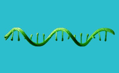 Illustration showing a single strand of RNA