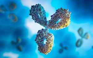 蓝色和黄色的免疫球蛋白 G 抗体