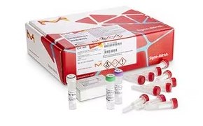 GenElute™-E single-spin DNA purification kit