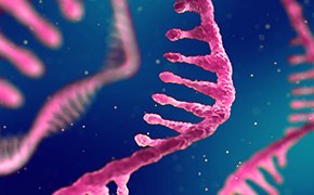 蓝色背景下的粉红色 RNA 链特写，展示了核糖核酸的复杂结构，核苷酸清晰可见，呈现三维立体感。