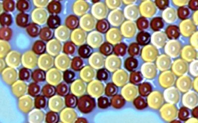 Ion-exchange beads used in the Milli-Q water purification system