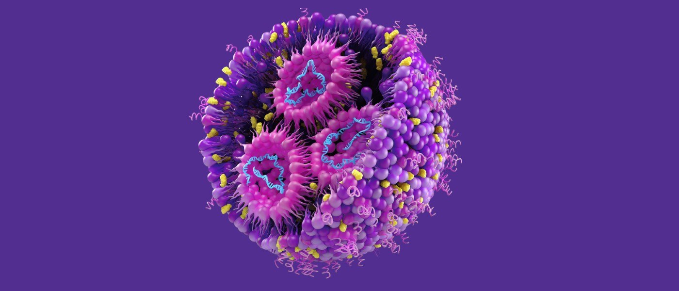 Rendering of a lipid nanoparticle, which consists of different lipids and mRNA inside.