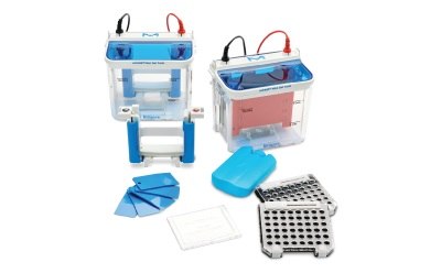 The mPAGE® Gel Caster and Mini Gel System offer a leak-free solution for hand-casting up to 2 mini protein gels, high-resolution protein separation on precast or hand-cast gels, and electrophoretic transfer to blotting membranes.