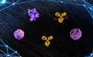 传统和新型药物创新解决方案 各种制药/生物制药工艺耗材和专家支持团队随时为您服务。