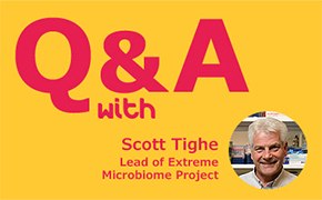 Yellow background with title "Q&A with Scott Tighe", in the right corner at the bottom a headshot of Scott Tighe