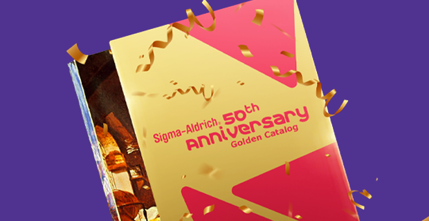 一本金色的目录，紫色背景与五彩纸屑。