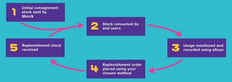 eScan Workflow