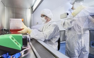 Two lab technicians, fully equipped in personal protective equipment, focused on their work as they collaborate on a virus bank manufacture. They are working under a fume hood. 