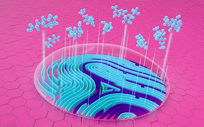 粉色背景上的指纹中出现的分子