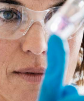 Lab worker examining cell culture media