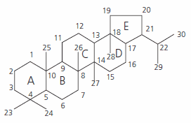 Hopane characteristic structure