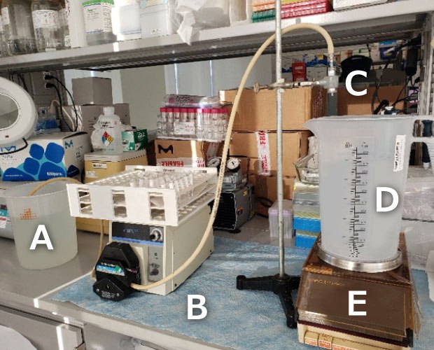 Photograph showing setup of a Sterivex™ sterile filter on a lab bench with A) container for input sample; B) peristaltic pump with tubing; C) Sterivex™ filter clamped to a ring stand; D) plastic container for collection of filtered sample; and E) balance for measuring collecting sample.