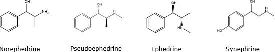 Two-dimensional chemical structures of four compounds, each labeled with its corresponding name below the structure. From left to right, the compounds are—Norephedrine, Pseudoephedrine, Ephedrine, and Synephrine. 