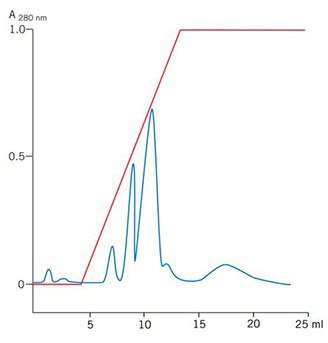  Puriﬁcation of egg white proteins