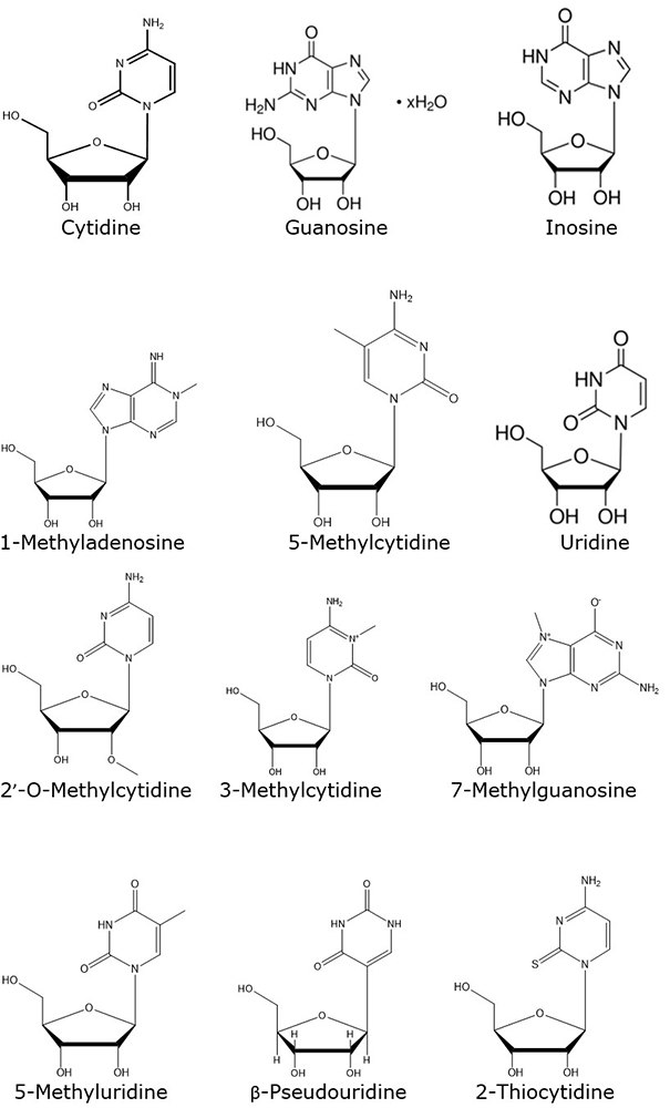 2-D chemical structures (Bond line structure) of nucleosides used in the study to resolve 12 nucleosides by Ultra high performance liquid chromatography (UHPLC)