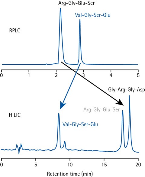 Comparison of peptide separation in HILIC and RPLC.