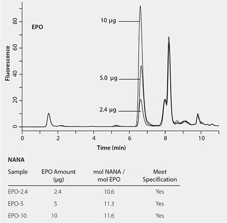 Graphical representation of the determination of sialic acids in Erythropoietin (EPO) samples. The image shows a chromatogram with a y-axis labeled ‘Fluorescence’ and an x-axis labeled ‘Time (min).’ Three peaks are visible, corresponding to different amounts of EPO: 2.4 µg, 5.0 µg, and 10 µg, with the highest peak at the 10 µg mark. Below the graph is a table titled ‘Sample’ with three rows for EPO-2.4, EPO-5, and EPO-10. Columns include ‘EPO Amount (µg),’ ‘mol NANA / mol EPO,’ and ‘Meet Specification,’ all entries in the last column read ‘Yes.’